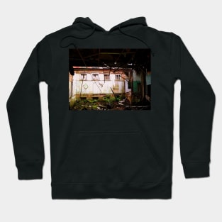 Interior Grotto Hoodie